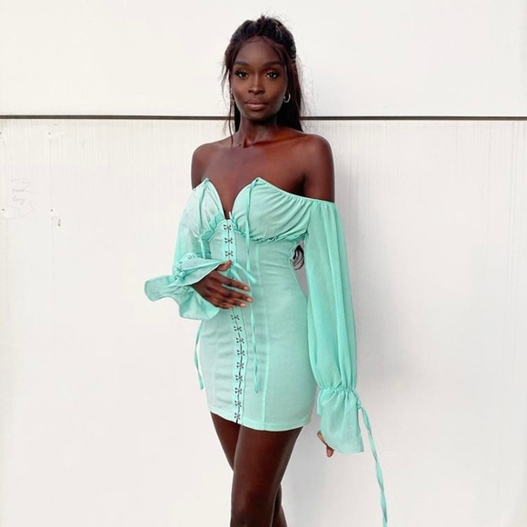 chiffon sleeve hook & eye bodycon dress